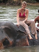 Upskirt pictures - Girls kinkily shake tits down blouse