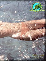 24 pictures - Classic nude Bridgette Bardot