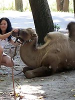 24 pictures - Dressed up dolls upskirts