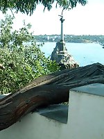 8 pictures - milf upskirt in public picture gallery