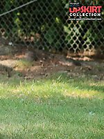 12 pictures - Beach voyeur cam spying hot bikinis