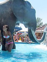 12 pictures - Cute bikini models walk on the beach