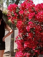Upskirt pictures - "Scarlett Alexis Pictures Of Boobs"